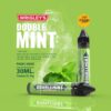 น้ำยาบุหรี่ไฟฟ้า double mint